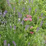 Сasa de vacaciones In Saint-beauzire With Garden And Private Terrace Saint-Beauzire (Haute-Loire)