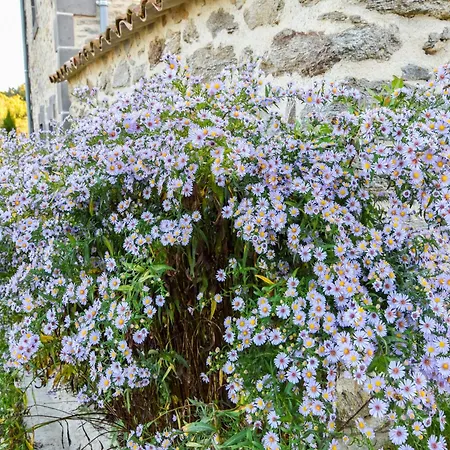 In Beauzire With Garden And Private Terrace Holiday home Saint-Beauzire (Haute-Loire)