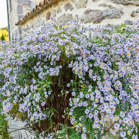 Holiday home In Beauzire With Garden And Private Terrace Saint-Beauzire (Haute-Loire)