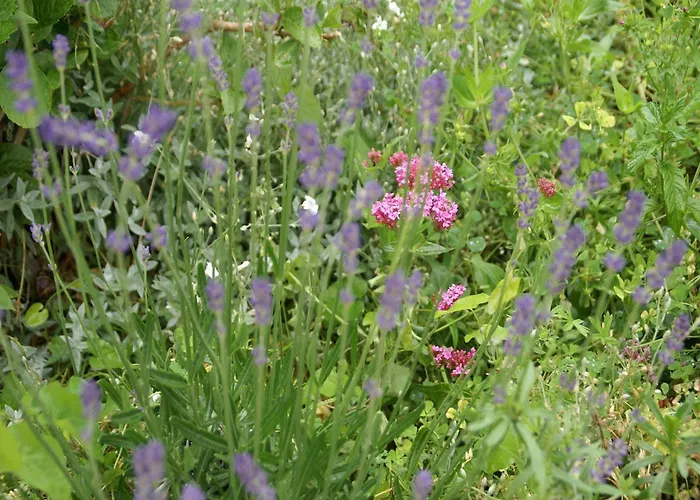 度假居 In Saint-beauzire With Garden And Private Terrace 圣比兹